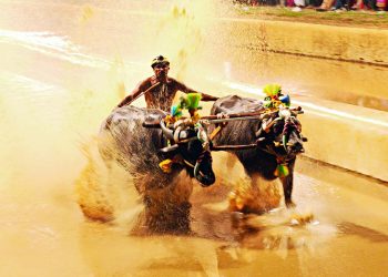 ಮಂಗಳೂರು :ಸೆಪ್ಟೆಂಬರ್ 30ರಂದು ಕಂಬಳ ಸಮಿತಿ ಸಭೆ..!!