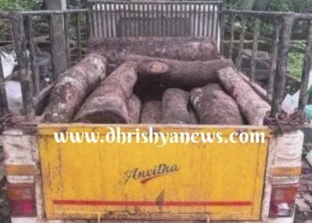 ಬಂಟ್ವಾಳ : ಅಕ್ರಮವಾಗಿ ಮರ ಸಾಗಾಟ : ಆರೋಪಿಯ ಬಂಧನ…!