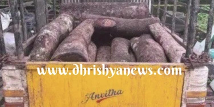 ಬಂಟ್ವಾಳ : ಅಕ್ರಮವಾಗಿ ಮರ ಸಾಗಾಟ : ಆರೋಪಿಯ ಬಂಧನ…!
