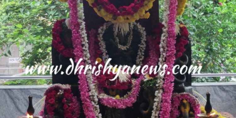 ಕಾರ್ಕಳ : ಶಿವತಿಕೆರೆ ದೇವಸ್ಥಾನದ ನಾಗಬನದಲ್ಲಿ ಕ್ಷೇತ್ರ ನಾಗದೇವರ ಪ್ರತಿಷ್ಠಾ ವರ್ಧಂತಿ  ಪ್ರಯುಕ್ತ ಆಶ್ಲೇಷಾ ಬಲಿ ಪೂಜೆ ಸಂಪನ್ನ..!!