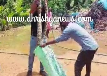 ಉಡುಪಿ : ಇನ್ನಂಜೆ ಬಳಿ ಬಲೆಗೆ ಸಿಲುಕಿದ್ದ ಹೆಬ್ಬಾವು ರಕ್ಷಣೆ..!!