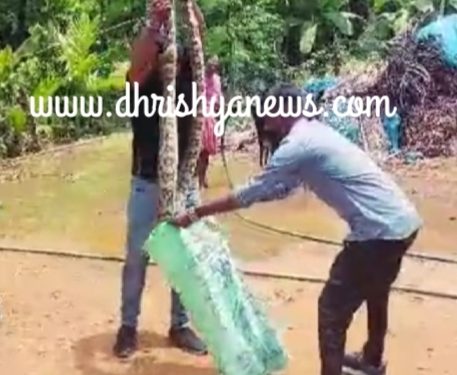 ಉಡುಪಿ : ಇನ್ನಂಜೆ ಬಳಿ ಬಲೆಗೆ ಸಿಲುಕಿದ್ದ ಹೆಬ್ಬಾವು ರಕ್ಷಣೆ..!!