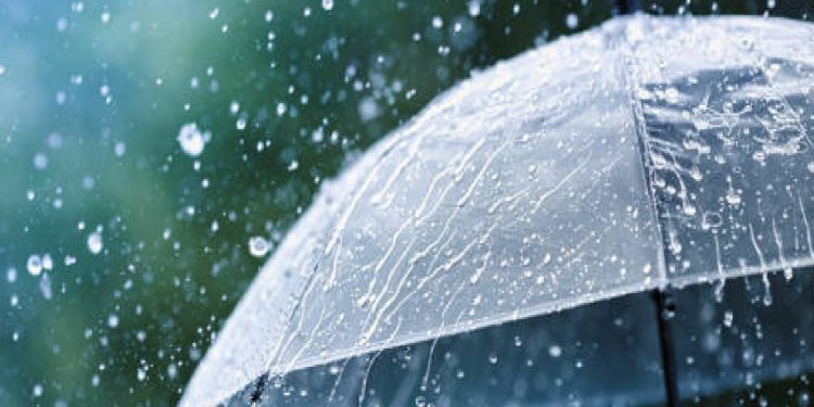 ಉಡುಪಿ : ಉತ್ತಮ ಮಳೆ ಕರಾವಳಿಯಲ್ಲಿ ಎಲ್ಲೊ ಅಲರ್ಟ್‌..!!