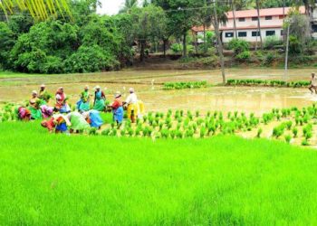 ಉಡುಪಿ :7 ತಿಂಗಳ ಬಳಿಕ ಭತ್ತ ನೀಡಿದ ರೈತನ ಖಾತೆಗೆ ಹಣ ಜಮಾ ಮಾಡಿದ ಸರಕಾರ..!!