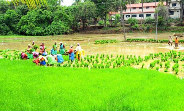 ಉಡುಪಿ :7 ತಿಂಗಳ ಬಳಿಕ ಭತ್ತ ನೀಡಿದ ರೈತನ ಖಾತೆಗೆ ಹಣ ಜಮಾ ಮಾಡಿದ ಸರಕಾರ..!!
