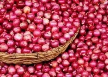 ಈರುಳ್ಳಿ ಮತ್ತಷ್ಟು ದುಬಾರಿ : ಹಲವೆಡೆ 80 ರೂ. ತಲುಪಿದ ದರ..!!