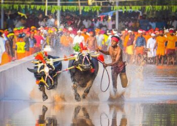 ಬೆಂಗಳೂರು ಕಂಬಳಕ್ಕೆ ಅದ್ದೂರಿ ಯಶಸ್ಸಿನ ತೆರೆ…!!