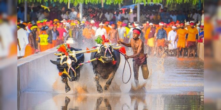 ಬೆಂಗಳೂರು ಕಂಬಳಕ್ಕೆ ಅದ್ದೂರಿ ಯಶಸ್ಸಿನ ತೆರೆ…!!