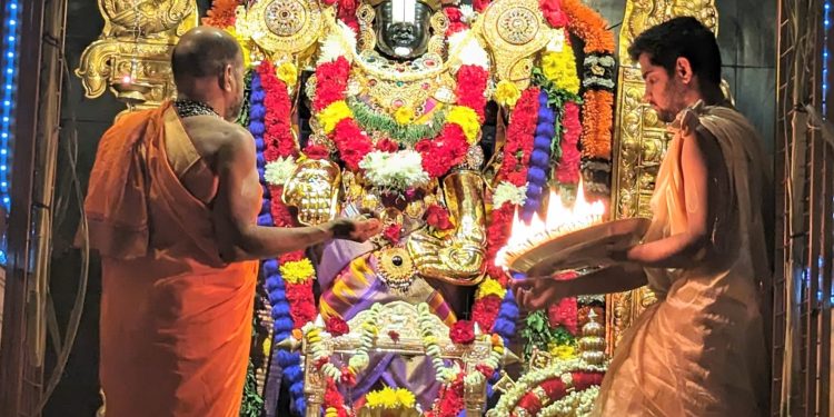 ಫೀನಿಕ್ಸ್ ನಲ್ಲಿ ವೈಭವದ ರಥೋತ್ಸವದೊಂದಿಗೆ ಹತ್ತು ದಿನಗಳ ಉತ್ಸವಕ್ಕೆ ತೆರೆ..!!