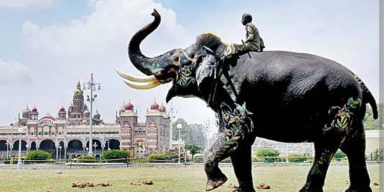 ಮೈಸೂರು ದಸರಾ’ದಲ್ಲಿ ಅಂಬಾರಿ’ ಹೊತ್ತಿದ್ದ ‘ಅರ್ಜುನ’, ಒಂಟಿ ಸಲಗದ ದಾಳಿಯಿಂದ ಸಾವು..!!