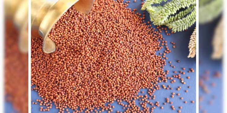 ಬೆಂಗಳೂರು : ಜ.5 ರಿಂದ 7 ರವರೆಗೆ “ರಾಗಿ ಮತ್ತು ಸಾವಯವ 2024” ಅಂತರರಾಷ್ಟ್ರೀಯ ವ್ಯಾಪಾರ ಮೇಳ..!!