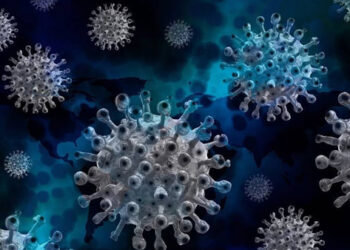 ಕೋವಿಡ್ -19:ರಾಜ್ಯದಲ್ಲಿ ಇಂದು 113 ಮಂದಿಗೆ ಕೊರೋನಾ ಪಾಸಿಟಿವ್ ದೃಢ .!!