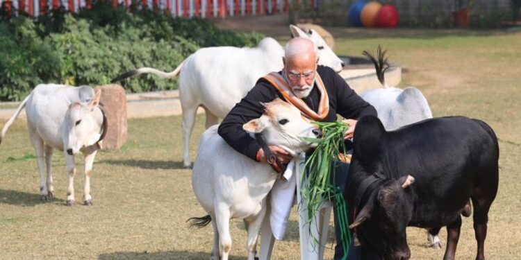 ಮಕರ ಸಂಕ್ರಾಂತಿ : ಹಸುಗಳಿಗೆ ಆಹಾರ ನೀಡಿ, ಹಬ್ಬದ ಶುಭಾಶಯ ತಿಳಿಸಿದ ಪ್ರಧಾನಿ ಮೋದಿ..!!