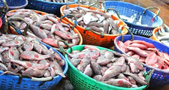 ಕಾಪು :ಮೀನುಗಾರಿಕೆಗೆ ತೆರಳಿದ್ದ ಬೋಟನ್ನು ತಡೆದು ಮೀನುಗಾರರಿಗೆ ಹಲ್ಲೆ : ಲಕ್ಷಾಂತರ ರೂಪಾಯಿ ಬೆಲೆಬಾಳುವ ಮೀನು ಸಹಿತ ಸೊತ್ತುಗಳ ದರೋಡೆ..!!