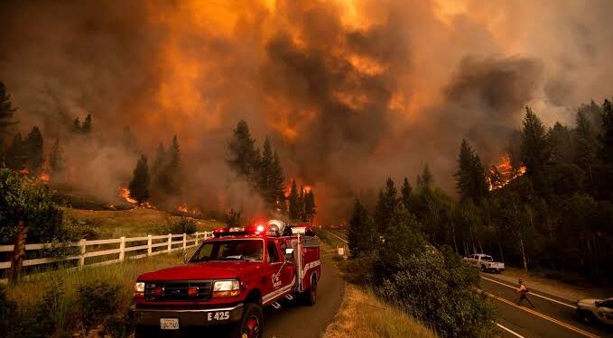 ದಕ್ಷಿಣ ಅಮೆರಿಕದ ಚಿಲಿ ದೇಶದಲ್ಲಿ ಕಾಡ್ಗಿಚ್ಚಿಗೆ 99 ಜನ ಬಲಿ..!!