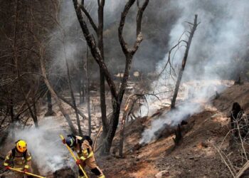 ಚಿಲಿ ಭಯಾನಕ ಕಾಡ್ಗಿಚ್ಚು : 120ಕ್ಕೂ ಅಧಿಕ ಜನರು ಬಲಿ..!!
