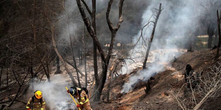 ಚಿಲಿ ಭಯಾನಕ ಕಾಡ್ಗಿಚ್ಚು : 120ಕ್ಕೂ ಅಧಿಕ ಜನರು ಬಲಿ..!!