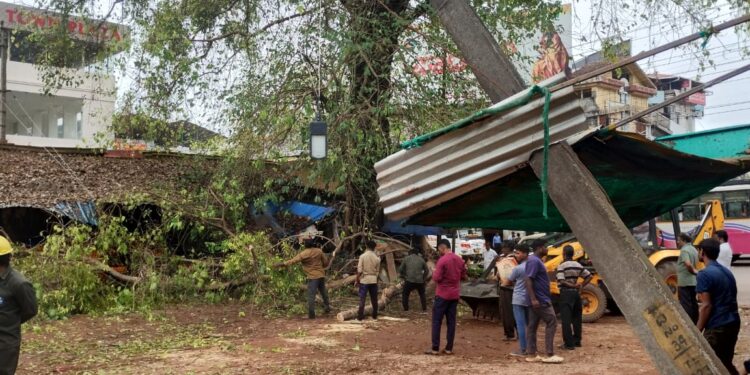 ಉಡುಪಿ : ತರಕಾರಿ ಮಾರುಕಟ್ಟೆಯಲ್ಲಿನ ಮರದ ಕೊಂಬೆ ಮುರಿದು ಎರಡು ಅಂಗಡಿ ಮತ್ತು ಕಾರಿಗೆ ಹಾನಿ…!!