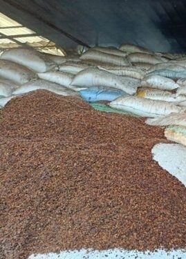 ಪಾದುರು:ಮರದ ಪುಡಿ ದಾಸ್ತಾನು ಘಟಕದಲ್ಲಿ ಅಗ್ನಿ ಅವಘಡ…..!!