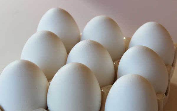 ಉಡುಪಿ :ಹೆಚ್ಚಿದ ತಾಪಮಾನ ಮೊಟ್ಟೆ ದರ ಕುಸಿತ…!!