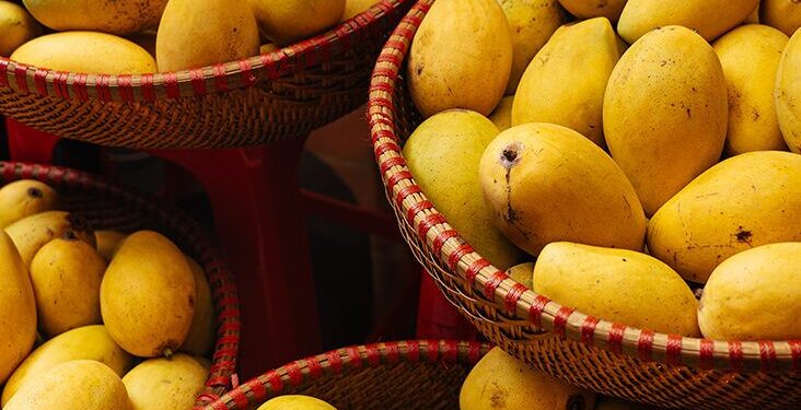 ಮಾರುಕಟ್ಟೆಗೆ ಲಗ್ಗೆ ಇಟ್ಟಿವೆ ಕೆಮಿಕಲ್ ಮಿಶ್ರಿತ ಮಾವಿನ ಹಣ್ಣುಗಳು : ತಿನ್ನುವ ಮುನ್ನ ಇರಲಿ ಎಚ್ಚರ.!!