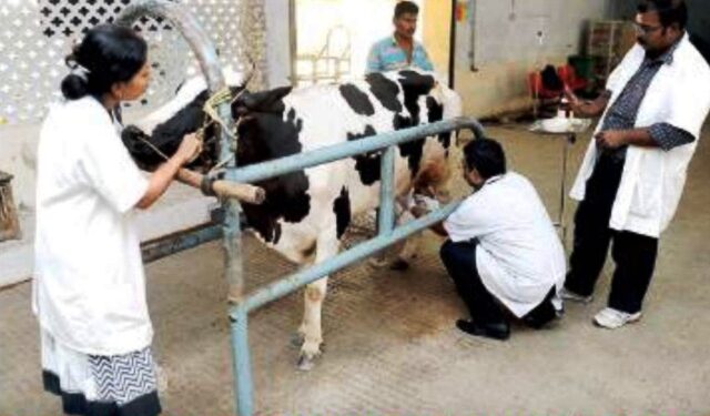 ಪಶುಪಾಲನ ಮತ್ತು ಪಶು ವೈದ್ಯಕೀಯ ಇಲಾಖೆಯಲ್ಲಿ 400 ಪಶುವೈದ್ಯ ಹುದ್ದೆಗಳಿಗೆ ಅರ್ಜಿ ಆಹ್ವಾನ..!!