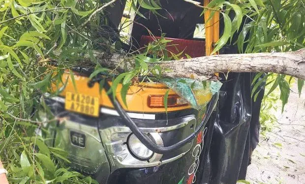 ತೆಕ್ಕಟ್ಟೆ : ಅಟೋ ರಿಕ್ಷಾದ ಮೇಲೆ ಮರ ಬಿದ್ದು ರಿಕ್ಷಾ ಜಖಂ..!!