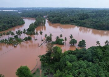 ನೆರೆಪೀಡಿತ ಪ್ರದೇಶದಲ್ಲಿ ಸಾವಿರಾರು ಎಕ್ಕರೆ ತೆಂಗು ಮತ್ತು ಭತ್ತದ ಕೃಷಿಗೆ ಕಂಟಕ..!!