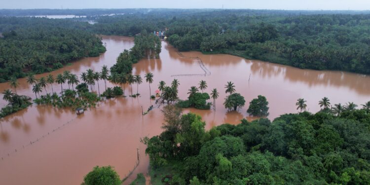 ನೆರೆಪೀಡಿತ ಪ್ರದೇಶದಲ್ಲಿ ಸಾವಿರಾರು ಎಕ್ಕರೆ ತೆಂಗು ಮತ್ತು ಭತ್ತದ ಕೃಷಿಗೆ ಕಂಟಕ..!!