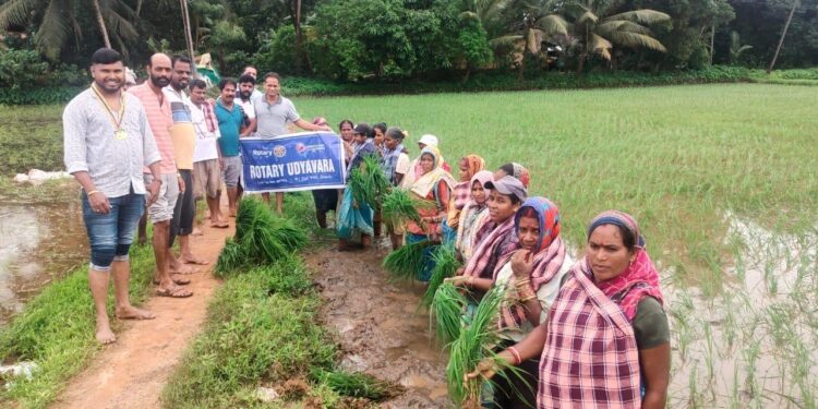 ಉದ್ಯಾವರ : ರೋಟರಿ ಕ್ಲಬ್ ಉದ್ಯಾವರದ ಸದಸ್ಯರಿಂದ ಕೃಷಿ ಭೂಮಿಯಲ್ಲಿ ದುಡಿಯುತ್ತಿರುವ ರೈತರು ಮತ್ತು ಕೃಷಿಕರನ್ನು ಗುರುತಿಸಿ ಸನ್ಮಾನಿಸಿ ಗೌರವಿಸುವ ಮೂಲಕ ವಿಶಿಷ್ಟ ಕಾರ್ಯಕ್ರಮ..!!