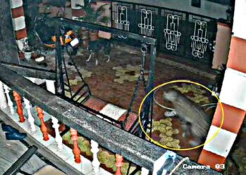 ಉಡುಪಿ : ಪೆರಂಪಳ್ಳಿಯ ಮನೆಯ ಕಾಂಪೌಂಡ್ ಒಳಗೆ ಕಾಣಿಸಿಕೊಂಡ ಚಿರತೆ…!!