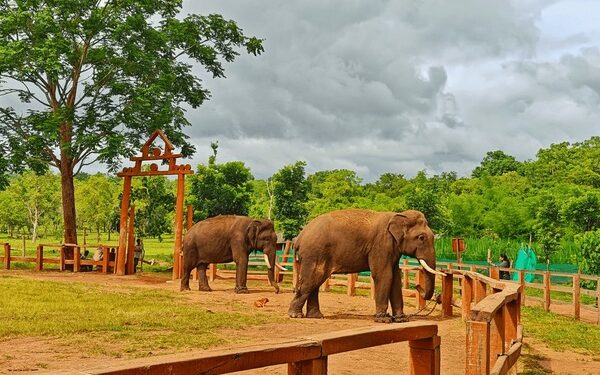 ಕೊಡಗಿನ ಪ್ರಮುಖ ಪ್ರವಾಸಿ ತಾಣಗಳಿಗೆ ಎರಡು ದಿನ ಪ್ರವೇಶ ನಿರ್ಬಂಧ..!!