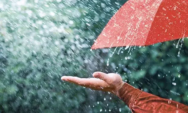 ಜುಲೈ 9ರವರೆಗೆ ಕರಾವಳಿ ಜಿಲ್ಲೆಗಳಲ್ಲಿ ವ್ಯಾಪಕ ಮಳೆ :ಹವಾಮಾನ ಇಲಾಖೆ ಮುನ್ಸೂಚನೆ..!!