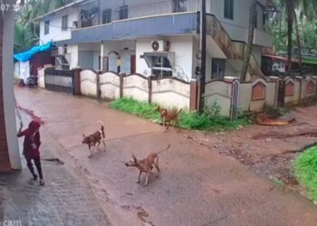 ಉಡುಪಿ : ಶಾಲೆಗೆ ಹೋಗುತ್ತಿದ್ದ ವಿದ್ಯಾರ್ಥಿನಿ ಮೇಲೆ ದಾಳಿ ಮಾಡಿದ ನಾಯಿಗಳ ಗುಂಪು :ಕೊಡೆ ಬೀಸಿ ಬಚಾವ್ ಆದ ವಿದ್ಯಾರ್ಥಿನಿ ಸೇಫ್..!!