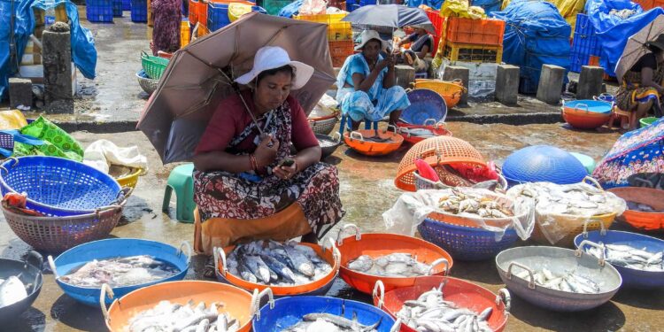 ಮತ್ಸ್ಯ ಸಂಪದ ಯೋಜನೆಯಡಿ ಮತ್ಸ್ಯಾವಾಹಿನಿ’ ವಾಹನಗಳಲ್ಲಿ ಮೀನು ಮಾರಾಟಕ್ಕಾಗಿ ಅರ್ಜಿ ಅಹ್ವಾನ..!!