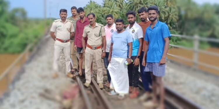 ಬಡಾಕೆರೆ: ರೈಲು ಡಿಕ್ಕಿ ಹೊಡೆದು ಚಿರತೆ ಸಾವು..!!