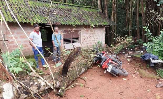 ನಿಲ್ಲಿಸಿದ್ದ ಬೈಕ್ ಮೇಲೆ ಬಿದ್ದ ಮರ ಬಿದ್ದು ಹಾನಿ..!!