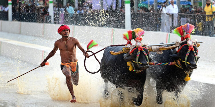 ಪಿಲಿಕುಳದಲ್ಲಿ ನವೆಂಬರ್ 17ಕ್ಕೆ ಕಂಬಳ ನಿಗದಿಯಾಗಿಲ್ಲ : ಹೈಕೋರ್ಟ್ ಗೆ  ಸ್ಪಷ್ಟನೆ ನೀಡಿದ ರಾಜ್ಯ ಸರ್ಕಾರ.!!