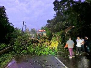 ಹೆದ್ದಾರಿಯಲ್ಲಿ ಲಾರಿ ಮೇಲೆ ಉರುಳಿ ಬಿದ್ದ ಮರ : ಮಂಗಳೂರು-ಪುತ್ತೂರು ಸಂಪರ್ಕ ಕಡಿತ..!!