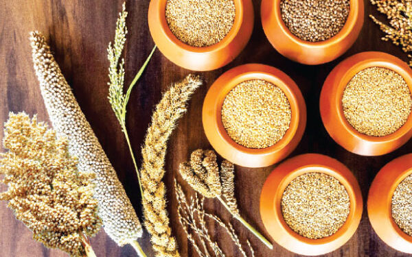 ಉಡುಪಿಯಲ್ಲಿ ಜನವರಿ 11ರಂದು ಸಿರಿಧಾನ್ಯ ಹಬ್ಬ ಕಾರ್ಯಕ್ರಮದ ಆಯೋಜನೆ ..!!