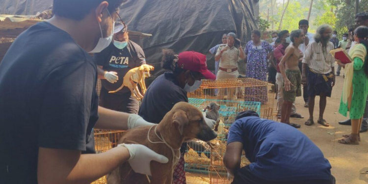 ಸಾಲಿಗ್ರಾಮ ದೇವಸ್ಥಾನದ ಬಳಿಯ  ಪ್ರಾಣಿ ಪಾಲನಾ ಕೇಂದ್ರಕ್ಕೆ ದಾಳಿ ನಡೆಸಿದ ಅಧಿಕಾರಿಗಳು :ಪ್ರಾಣಿ ಪಕ್ಷಿಗಳ ಸ್ಥಳಾಂತರ..!!