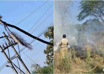 ಕಾರ್ಕಳದ ಪರಶುರಾಮ ಥೀಮ್‌ ಪಾರ್ಕ್‌ ಸಮೀಪ ತೆಂಗಿನ‌ ಮರ ವಿದ್ಯುತ್ ಕಂಬದ ಮೇಲೆ ಬಿದ್ದು ಅಗ್ನಿ ಅವಘಡ.!!