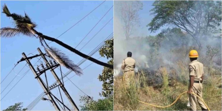 ಕಾರ್ಕಳದ ಪರಶುರಾಮ ಥೀಮ್‌ ಪಾರ್ಕ್‌ ಸಮೀಪ ತೆಂಗಿನ‌ ಮರ ವಿದ್ಯುತ್ ಕಂಬದ ಮೇಲೆ ಬಿದ್ದು ಅಗ್ನಿ ಅವಘಡ.!!