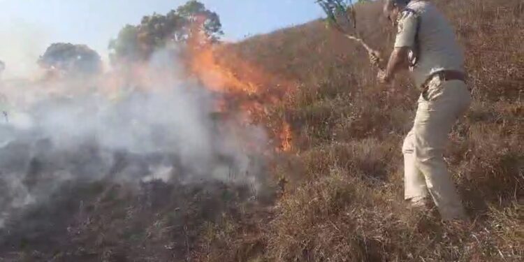 ಚಿಕ್ಕಮಗಳೂರು ಮುಳ್ಳಯ್ಯನಗಿರಿ ತಪ್ಪಲಿನಲ್ಲಿ ಹೊತ್ತಿ ಉರಿದ ಬೆಂಕಿ: ಹಲವಾರು ಮರಗಳು ನಾಶ.!