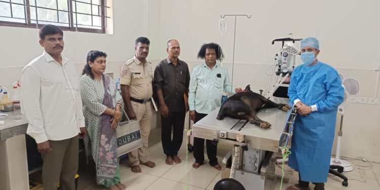 ಉಡುಪಿ: ಸಾಕಿದ್ದ ನಾಯಿಗೆ ವಿಷ ಹಾಕಿ ಕೊಂದ ಆರೋಪ :ತನಿಖೆಗಾಗಿ ಹೂತಿದ್ದ ನಾಯಿಯ ಕಳೇಬರ ಹೊರತೆಗೆಸಿ ಪೋಸ್ಟ್ ಮಾರ್ಟಂ..!!