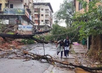 ಕಾರ್ಕಳ: ಮಳೆಗೆ ಧರೆಗೆ ಉರುಳಿದ ಮರಗಳು:ವಾಹನ ಸಂಚಾರಕ್ಕೆ ತೊಡಕು..!!