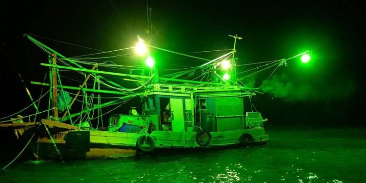 ಬುಲ್ ಟ್ರಾಲ್, ಲೈಟ್ ಫಿಶಿಂಗ್ ನಿಷೇಧ ಉಲ್ಲಂಘನೆ ಮಾಡಿದ್ದಲ್ಲಿ ದೋಣಿ ಪರವಾನಿಗೆ ರದ್ದು :ಮೀನುಗಾರಿಕೆ ಇಲಾಖೆ ಎಚ್ಚರಿಕೆ..!