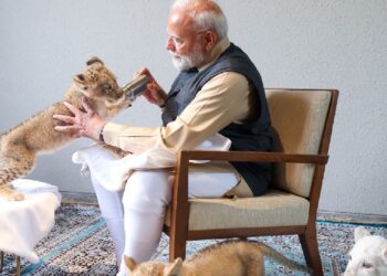 ಗುಜರಾತ್ ನ  ವನ್ಯಜೀವಿ ರಕ್ಷಣಾ ಮತ್ತು ಪುನರ್ವಸತಿ ಕೇಂದ್ರ ಪ್ರಧಾನಿ ಮೋದಿಯವರಿಂದ ಉದ್ಘಾಟನೆ..!!