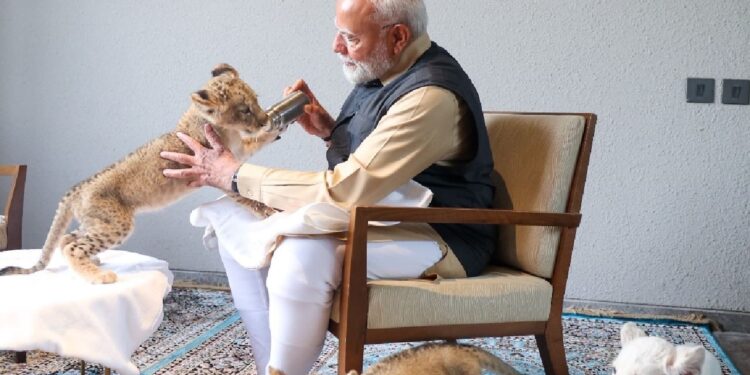 ಗುಜರಾತ್ ನ  ವನ್ಯಜೀವಿ ರಕ್ಷಣಾ ಮತ್ತು ಪುನರ್ವಸತಿ ಕೇಂದ್ರ ಪ್ರಧಾನಿ ಮೋದಿಯವರಿಂದ ಉದ್ಘಾಟನೆ..!!