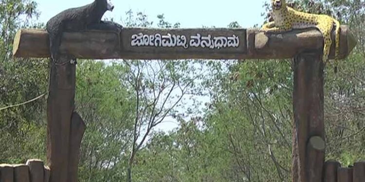 ಜೋಗಿಮಟ್ಟಿ’ ವನ್ಯಧಾಮಕ್ಕೆ ಜೂನ್​ವರೆಗೆ ಪ್ರವಾಸಿಗರಿಗೆ ಪ್ರವೇಶ ನಿಷೇಧ..!!